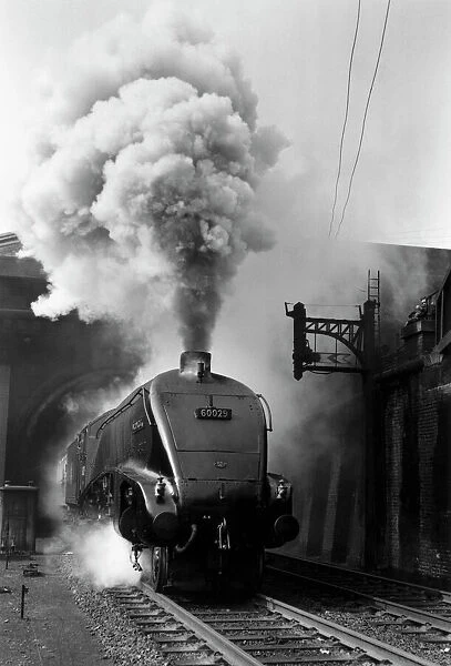 Woodcock, A4 Class steam locomotive No 60029, c 1954. Locomotive billowing smoke