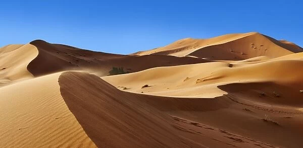 barrenness, blue sky, cloudless, desert landscape, dune