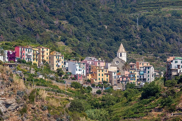 Corniaglia, jewel of the Cinque Terre