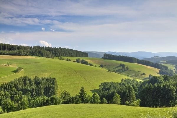 Glottertal valley, Black Forest mountain range, Baden-Wuerttemberg, Germany, Europe