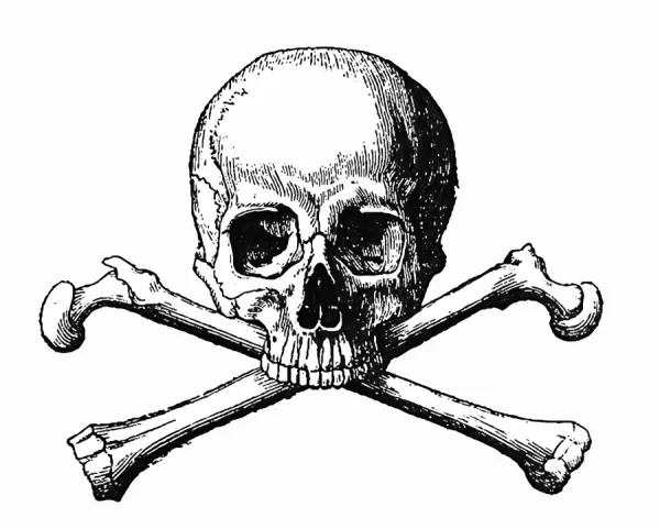 Human Skull and Bones available as Framed Prints, Photos, Wall Art and  Photo Gifts