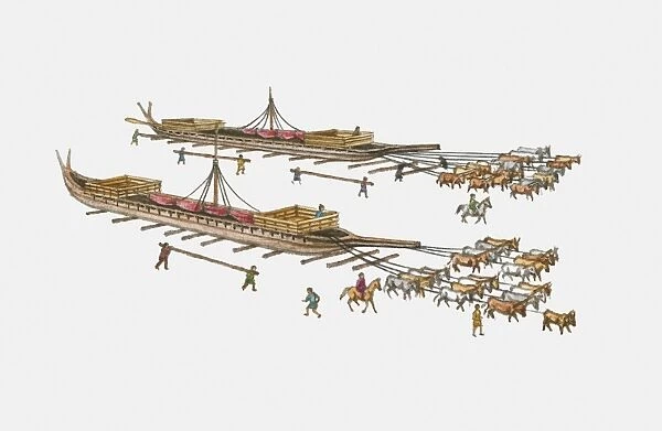 Illustration of ox pulling Ottoman ships overland