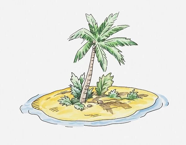 NATURE POSTER AD991 Poster Print Art A0 A1 A2 A3 SMALL ISLAND WITH PALM TREE 