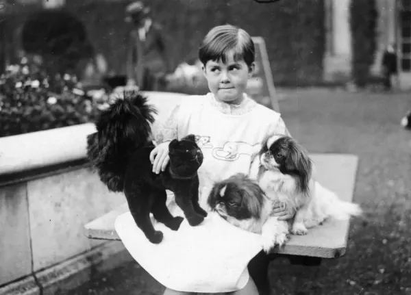 Fine Art Storehouse Print: Young Lady at Dog Show, Art