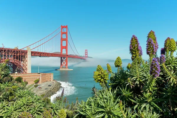 Lush vegetation in front of the Golden Gate Bridge, San Francisco, California