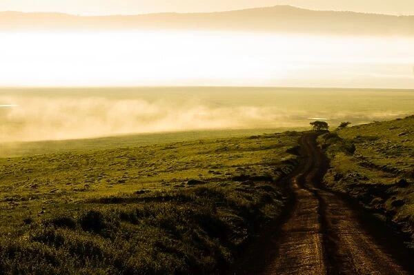 Road Through the Ngorongoro Crater