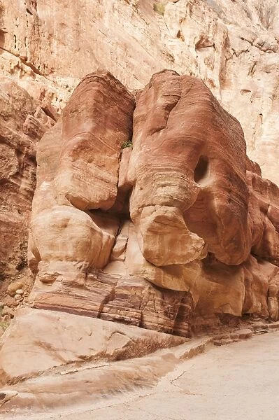 Rock carved by the water in the shape of elephants, the Siq, Petra, Jordan