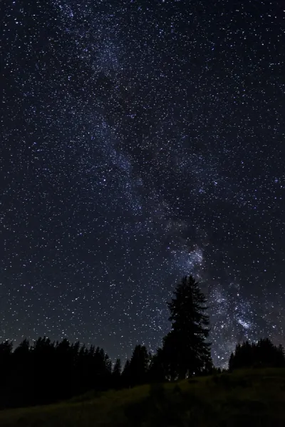 Starry sky with the Milky Way over a forest, Flums, Canton of St. Gallen, Switzerland