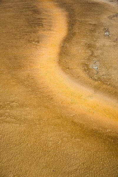 Textures on Old faithful Geyser Basin