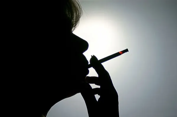 cigarettes close by Close Image Several Cigarettes Partially Unrolled Stock Photo 2660689487 cigarettes close by Close Image Several Cigarettes Partially Unrolled Stock Photo 2660689487