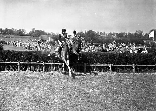 9 May 1954 Neck and neck over the last are Mrs. G. Lamont (l) on Dean of Devon