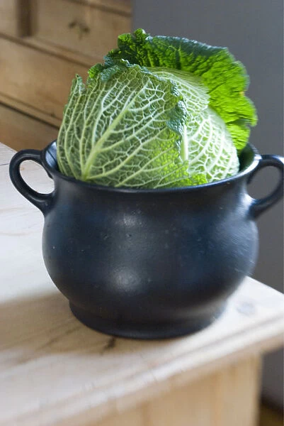 Cabbage sitting in iron cooking pot in kitchen credit: Marie-Louise Avery  /  thePictureKitchen