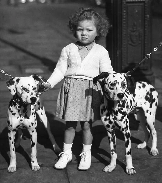 Child with dalmations. Three year old Jennifer Gulding of Cambridge makes sure these