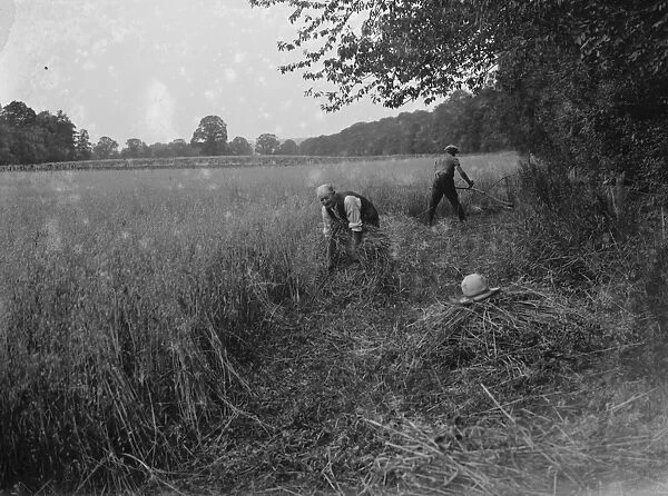 Harvesting edges round the field. 1937