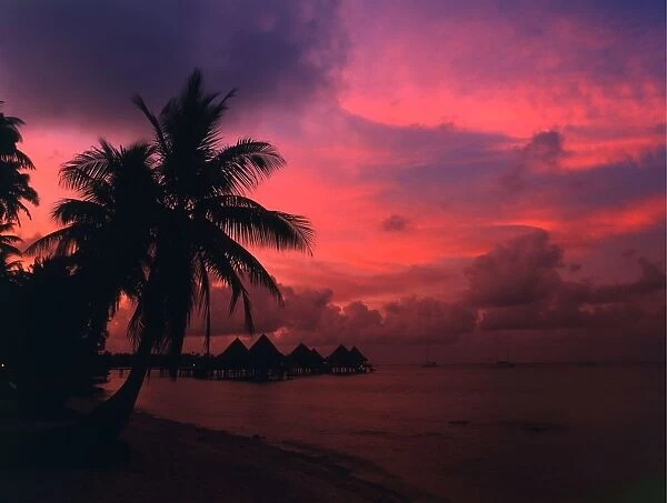Polynesia Rangiroa