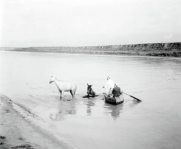 Algeria, Region du Chelif, Chlef: plain of the Chelif, crossed by a donkey and a horse of a wed under the protection of their owners who accompany them in boat, 1904