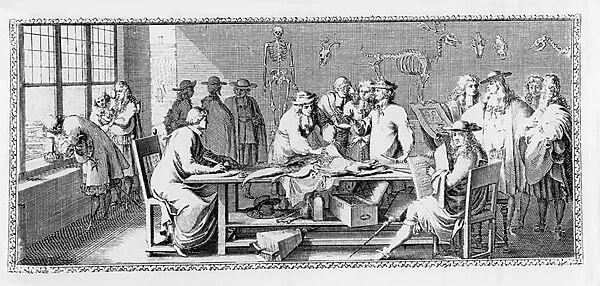 The Anatomy Lesson, (Dissection at the Jardin des Plantes) from
