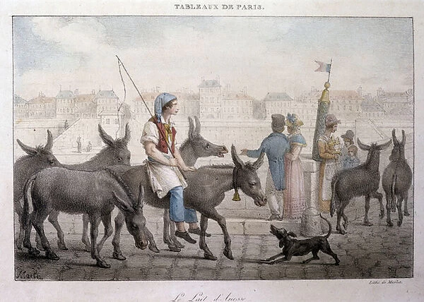 Ancien metier de rue in Paris: merchant de lait d anesse (Ane dans Paris