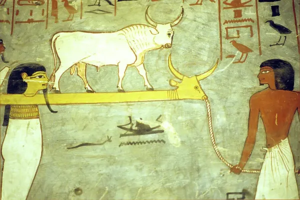 Ancient Egyptian Print: Gods of the Underworld Towing Solar Barque