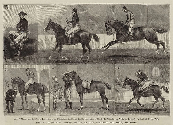 The Anglo-Mexican Riding Match at the Agricultural Hall, Islington (engraving)