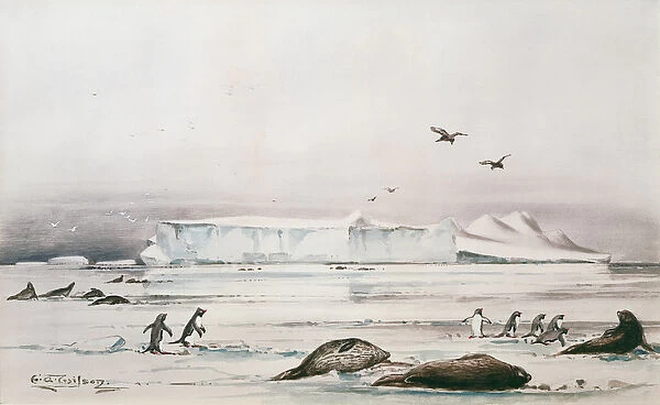 Antarctic Landscape (w  /  c on paper)