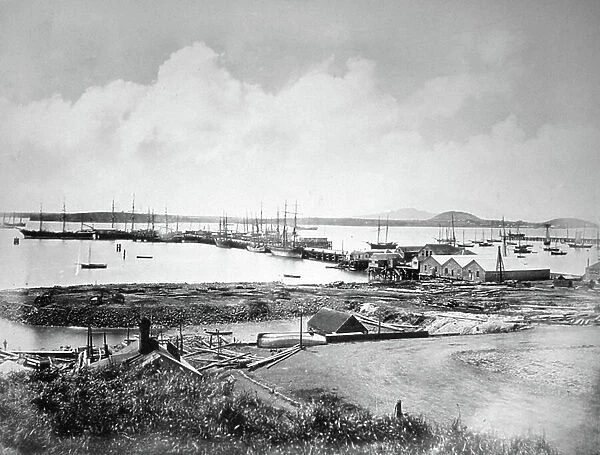 Auckland harbour and port, 1880