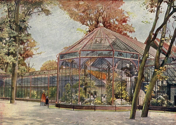 Aviary, Berlin Zoological Garden, Germany (colour litho)