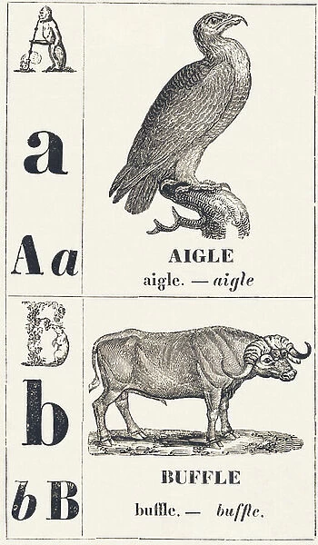 A B: Eagle -- Buffalo, 1850 (engraving)