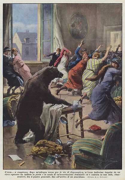 The Bear... a congress (colour litho)