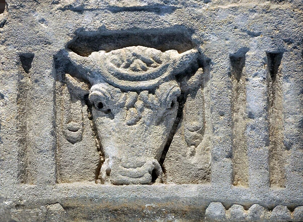 Beef or bull head decorated with a garland. (Roman Sculpture)