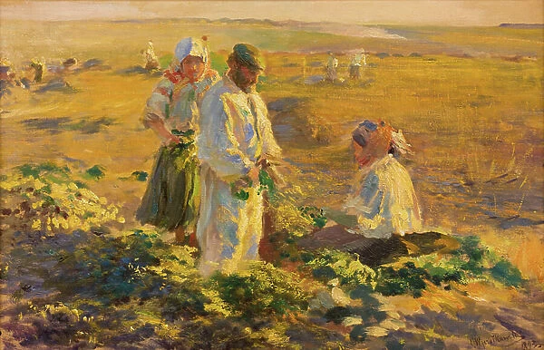 Beet-lifting, 1893 (oil on canvas)