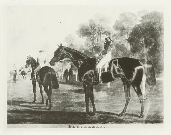 Beggarman, foaled 1835 (b  /  w photo)