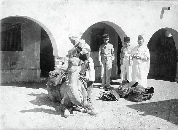Beni Abbes, Algeria: Loading a camel for a depart in the Saharan desert, 1895