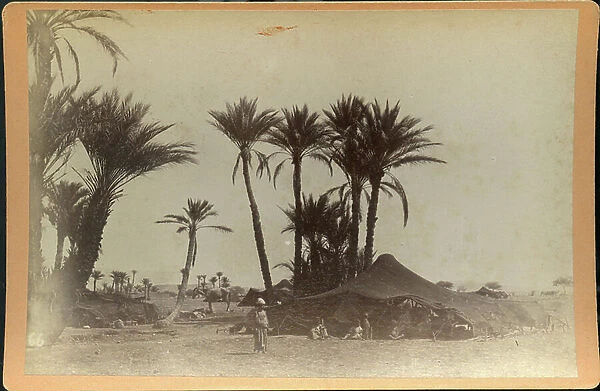 Biskra: Camp of nomads in an oasis, 1885