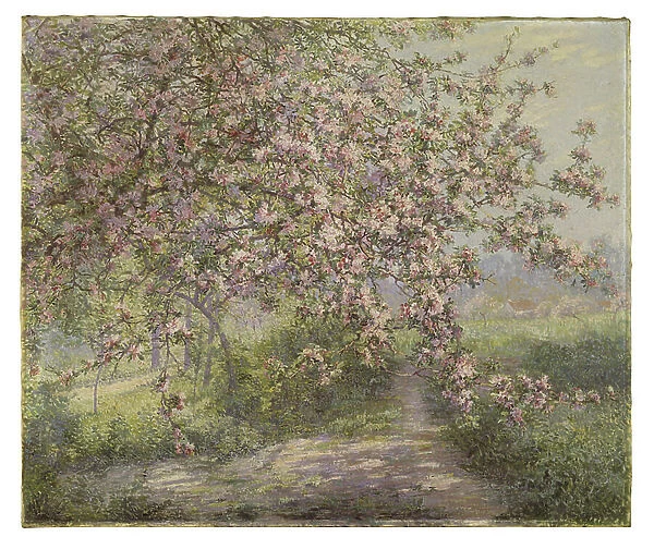 A Blossoming Apple Tree (oil on canvas)