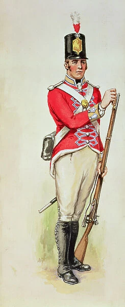 British soldier in Napoleonic times carrying a musket (w  /  c)