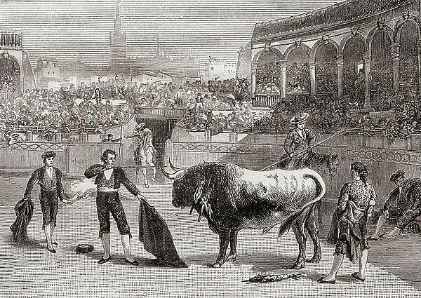 A bullfight in Seville, Spain in the late 19th century, 1884 (engraving)