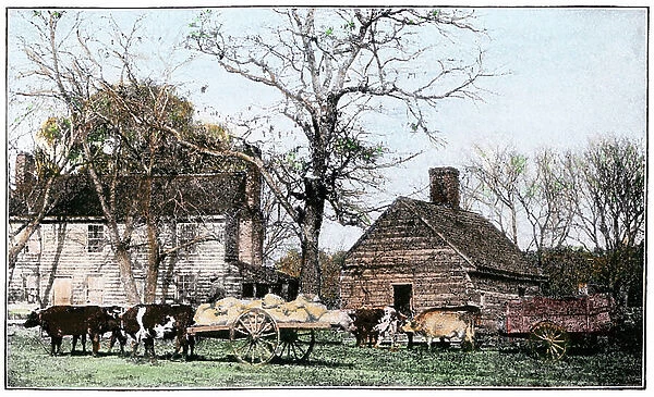 A cart pulled by oxen in front of an old New Jersey farmhouse, circa 1800 - Colorful reproduction of a 19th century photograph - Ox-drawn cart in front of an old New Jersey farmhouse