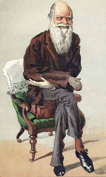 Charles Darwin (1809 - 1882), illustration in 'Vanity Fair'of September 30