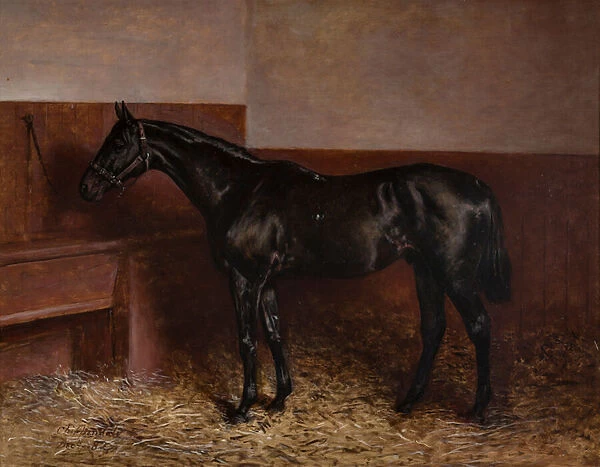 Chippendale in a Loose Box, 1882 (oil on canvas)