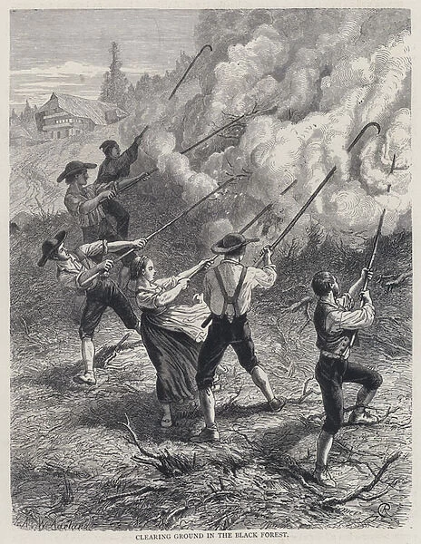 Clearing Ground in the Black Forest (engraving)