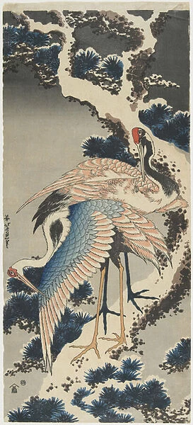 Cranes on Pine, c. 1834