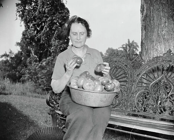 Director of the Mint Nellie Tayloe Ross relaxes on her Maryland farm, 1938 (b / w photo)