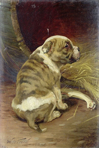 Give a Dog a Bone, 1888 (board)