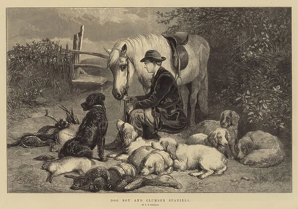 Dog Boy and Clumber Spaniels (engraving)
