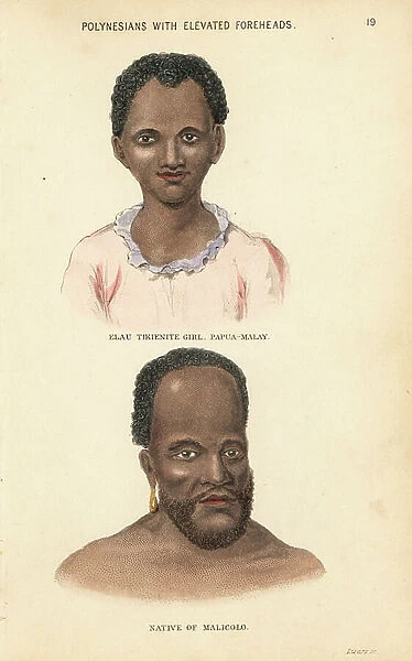 Elau, a Papua-Malay girl from the cannibal island of Tikiene, and a man of Malakula, Vanuatu (Malicolo). Polynesians with elevated foreheads. Handcoloured steel engraving by Lizars after an illustration by Charles Hamilton Smith from his Natural
