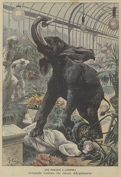 Two enraged elephants on the rampage in London (colour litho)