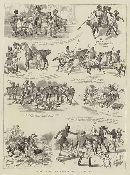 Episodes in the Career of a Polo Pony (engraving)