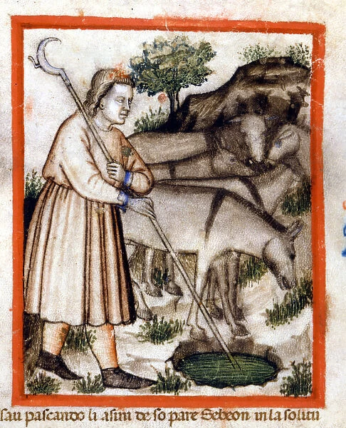 Esa grazes donkeys - the Pentateuch. Miniature from codex 212