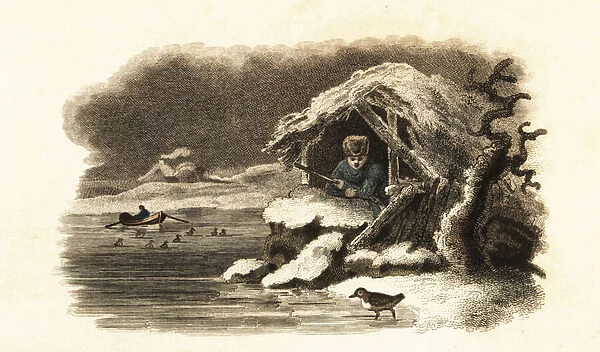 European water ouzel walking into Lake Nantua, France, and continuing submerged on the bottom of the lake in a bubble of air
